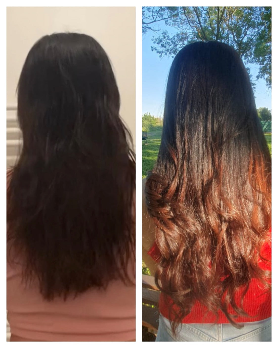 Lotion – Anti-Chute & Pousse intense