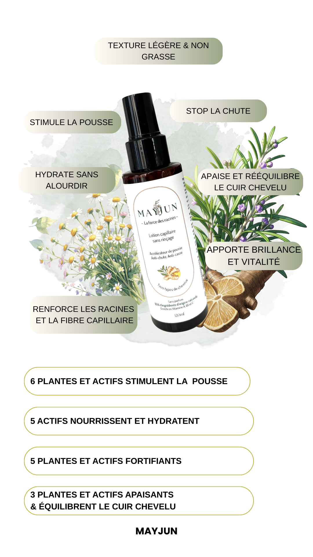 Lotion – Anti-Chute & Pousse intense